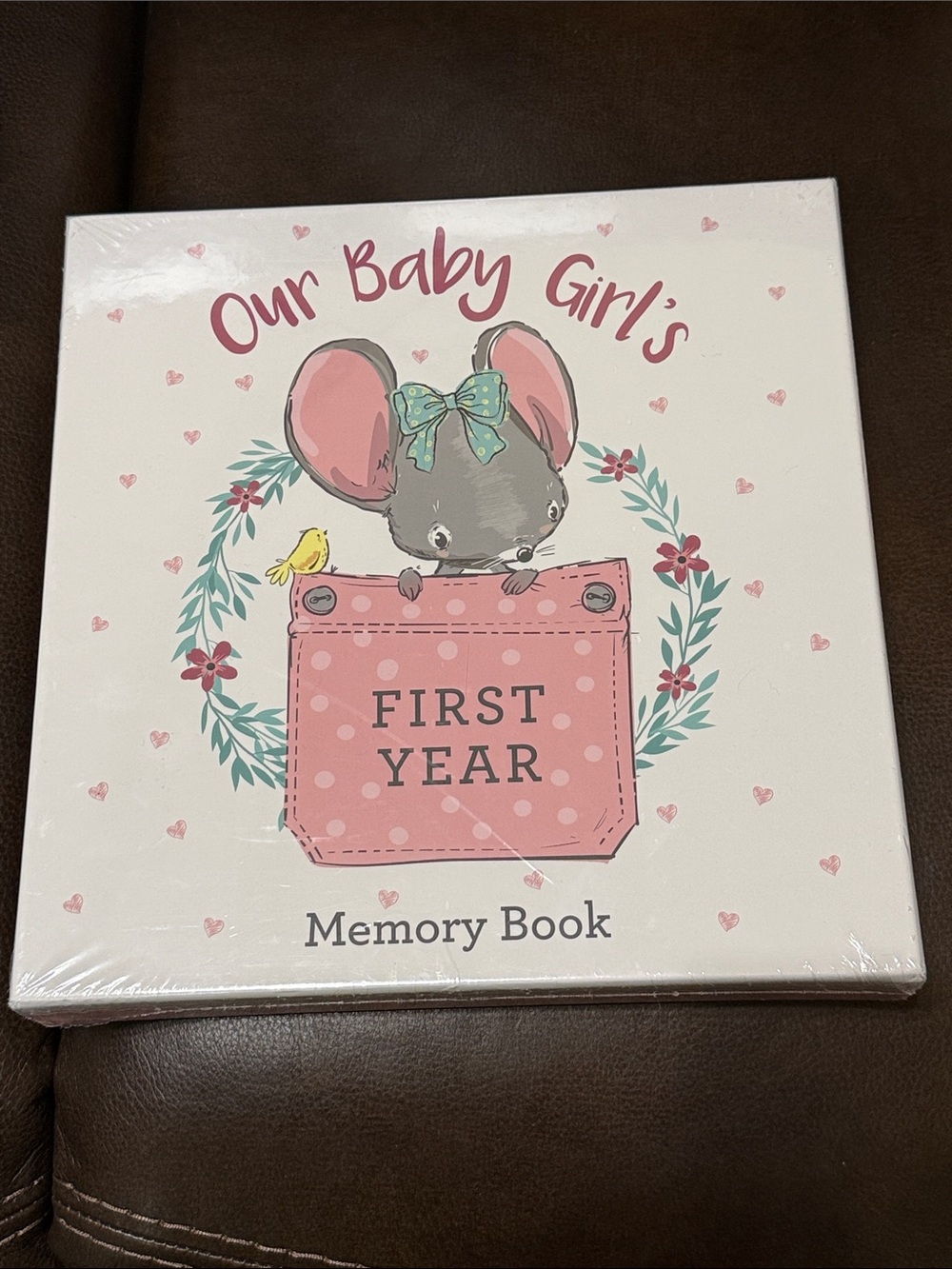 Our Baby Girl's First Year Memory Book - Pink & Gray